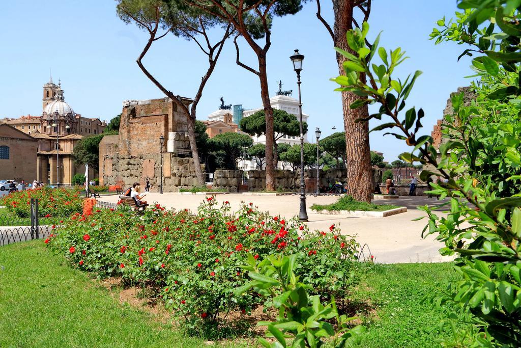 Cozy Fabia 300 Mt From Colosseum Lägenhet Rom